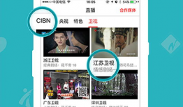 看片和直播的app,看片与直播APP的精彩之旅