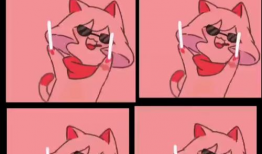 可爱视频,跟随可爱视频感受欢乐时光