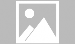 娱乐圈专业吃瓜组织,专业吃瓜组织深度剖析